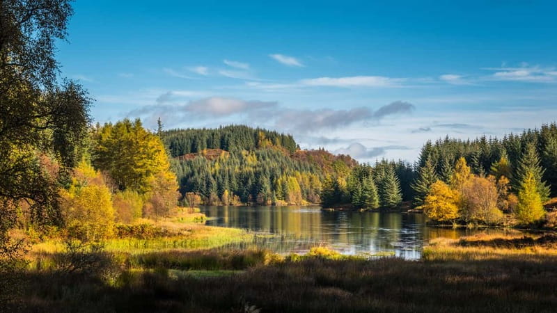 From Edinburgh: Stirling Castle, Kelpies and Loch Lomond - Aberfoyle, Duke’s Pass, and the best scenery