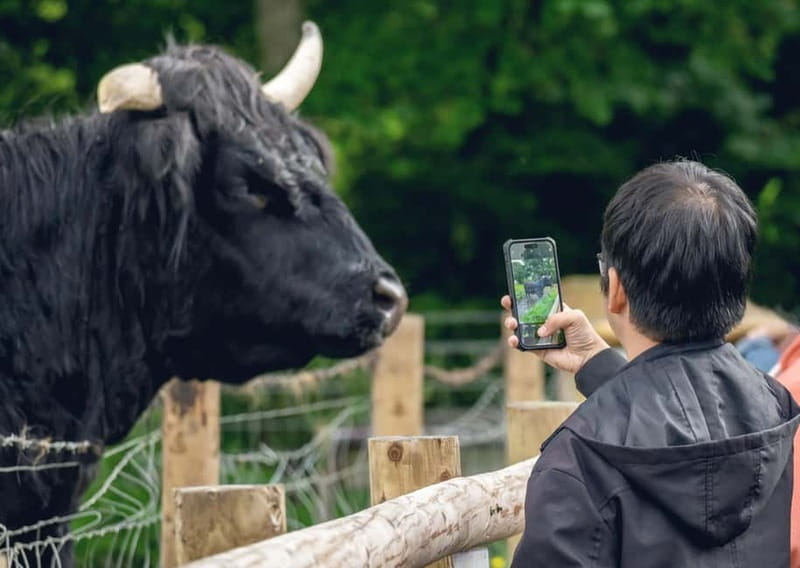From Edinburgh: Stirling Castle, Kelpies and Loch Lomond - Meeting the Kelpies at the first stop