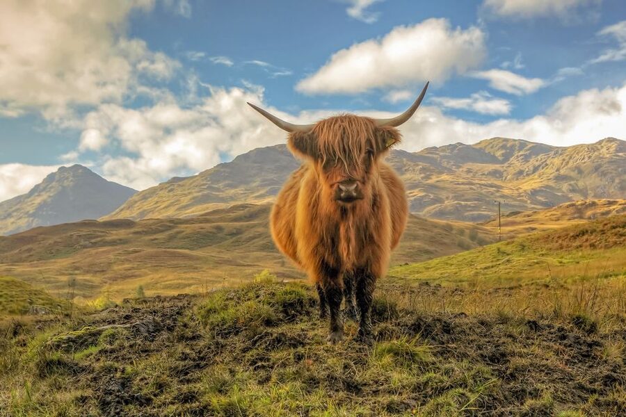 From Edinburgh: Stirling Castle, Loch Lomond & Whisky Tour - Riverside Museum and an awkward timing detail