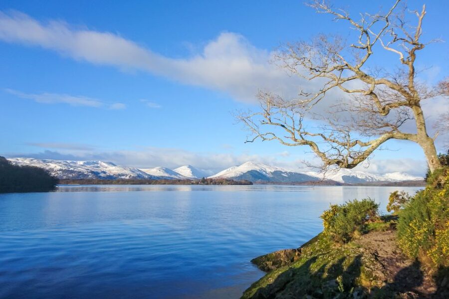 From Edinburgh: Stirling Castle, Loch Lomond & Whisky Tour - What the guide and coach add