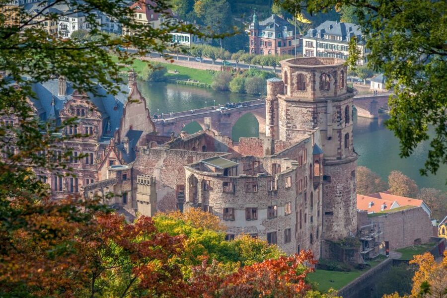 From Frankfurt: Heidelberg, Castle and Old City Guided Tour - The vehicle, group size, and comfort tradeoff