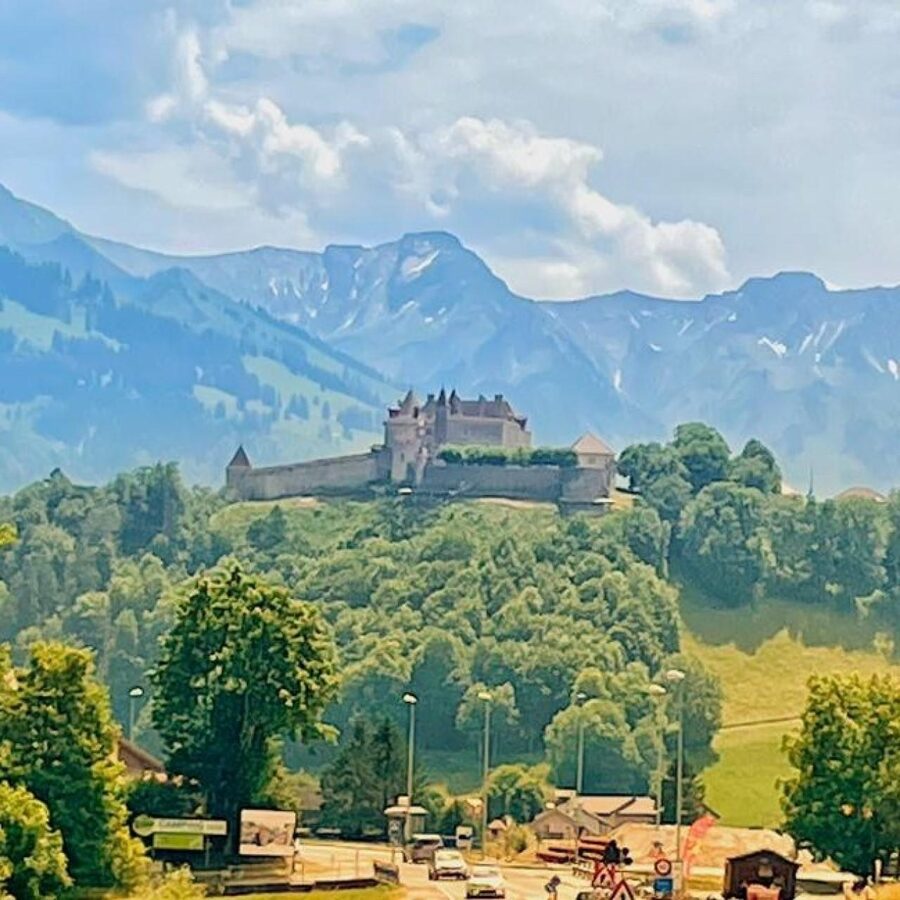 From Geneva: Gruyeres Castle, Cheese, Chocolate & Montreux - What the private guide changes