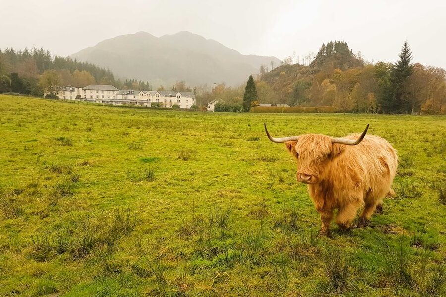 From Glasgow: Loch Lomond, Trossachs & Stirling Castle Tour - Callander and the small-town pause
