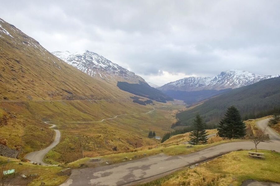 From Glasgow: Loch Lomond, Trossachs & Stirling Castle Tour - Highland cattle: a memorable bonus
