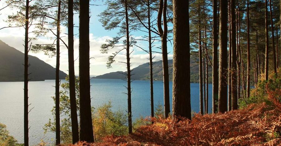 From Glasgow: Stirling Castle & Loch Lomond Tour with Cruise - Through the Trossachs and into Rob Roy country