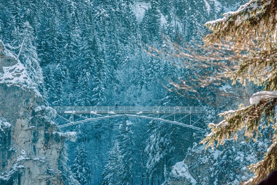 From Hohenschwangau: Tour to Neuschwanstein Castle - Returning downhill by horse-drawn carriage