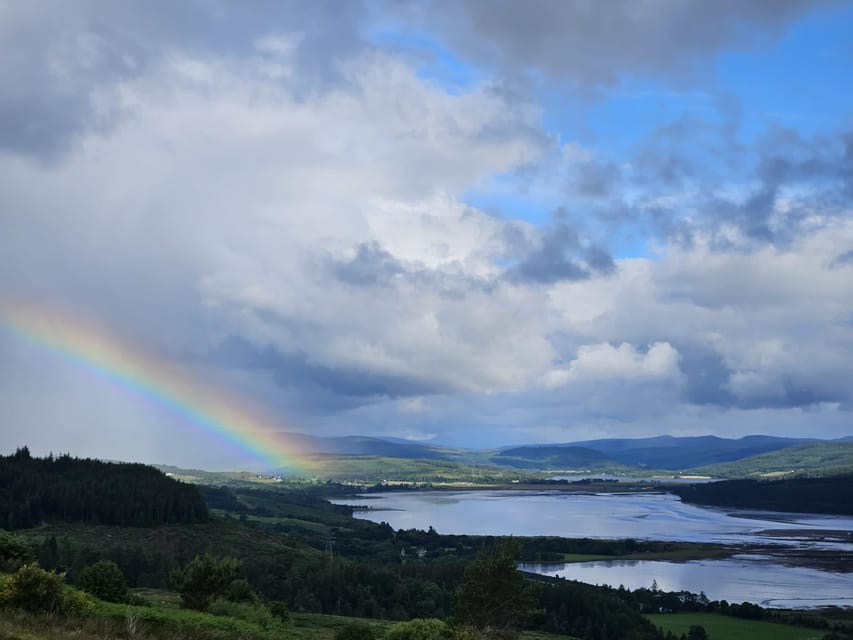 From Invergordon: Dunrobin Castle, Loch Fleet, and Dornoch … - Loch Fleet seals depend on the tide