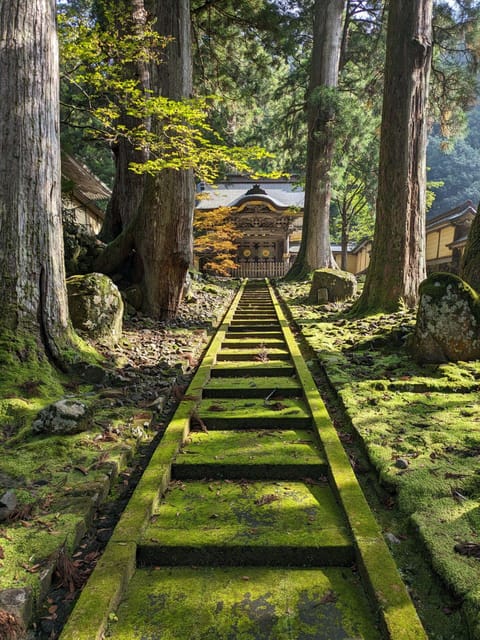 From Kanazawa: Eiheiji Buddhist Temple & Fukui Castle Town - Why Fukui makes a good change from Kanazawa