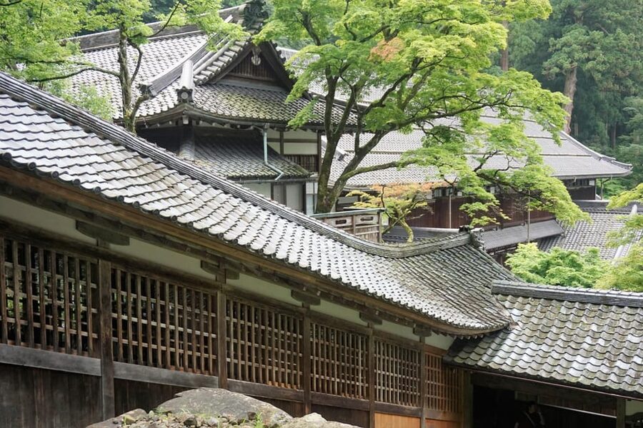 From Kanazawa: Eiheiji Buddhist Temple & Fukui Castle Town - Guides, language, and the human side of the tour