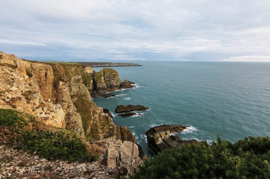 From Liverpool: North Wales and Caernarfon Castle Tour - Conwy: one hour inside a walled town