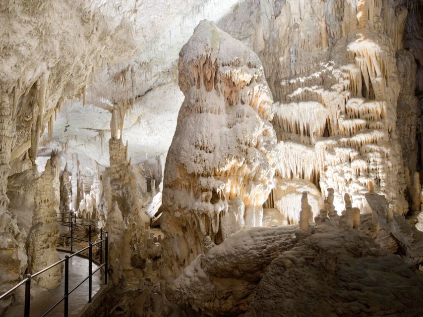 From Ljubljana: Postojna Cave & Predjama Castle Half-Day - Who should book this experience?