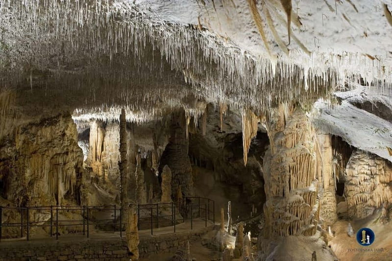 From Ljubljana: Postojna Cave, Predjama Castle, & Piran Tour - Why this day trip works so well