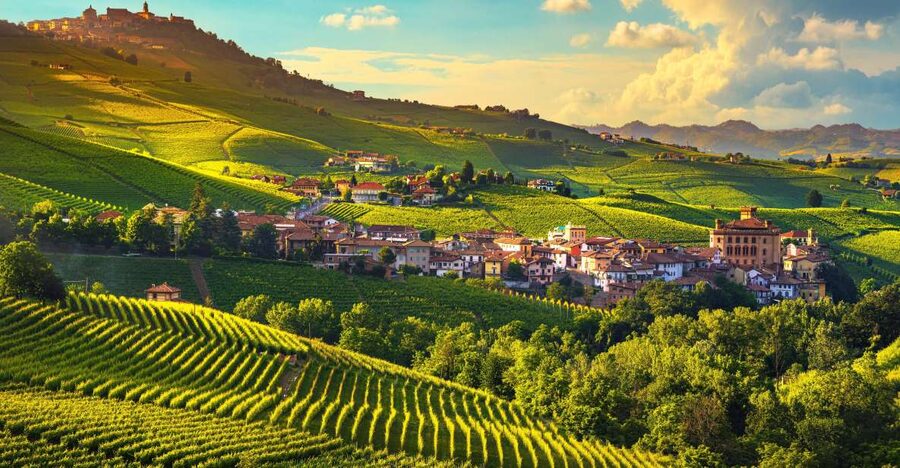 From Milan: Barolo Wine Tasting, Alba Tour and Castle Visit - A family cellar and the taste of Barolo