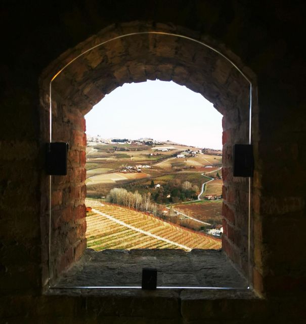 From Milan: Barolo Wine Tasting, Alba Tour and Castle Visit - The castle stop and the wide Piedmont view