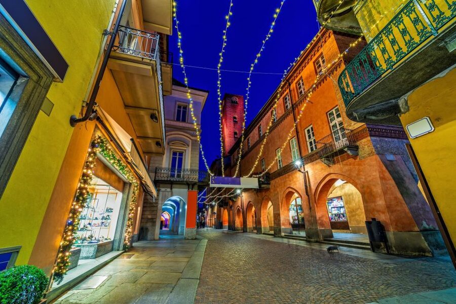 From Milan: Barolo Wine Tasting, Alba Tour and Castle Visit - What the price gives you for $225.44