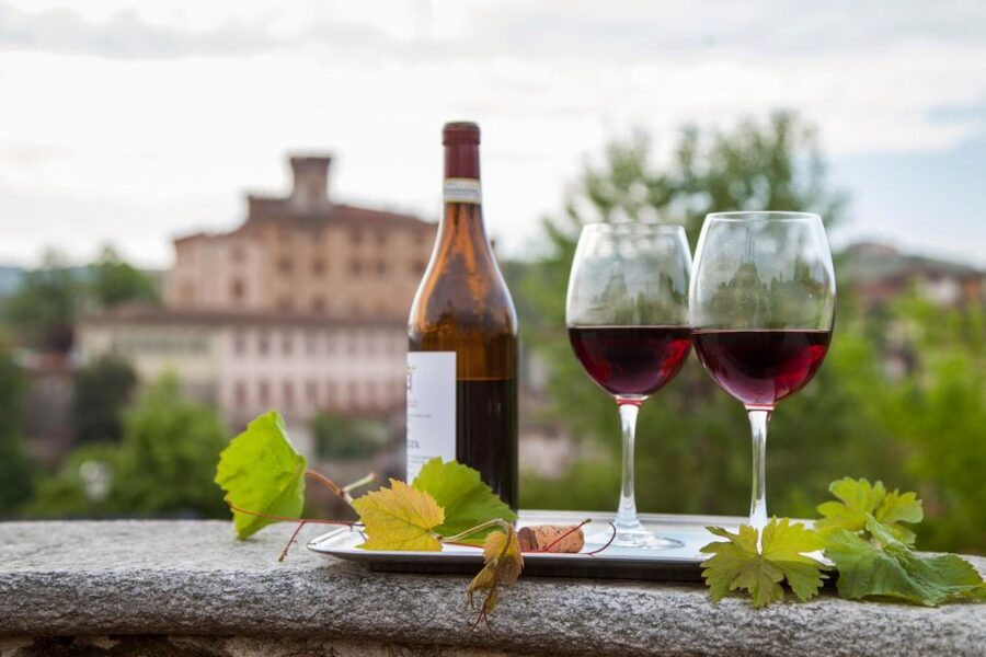 From Milan: Barolo Wine Tasting, Alba Tour and Castle Visit - The pace, group size, and practical tradeoffs