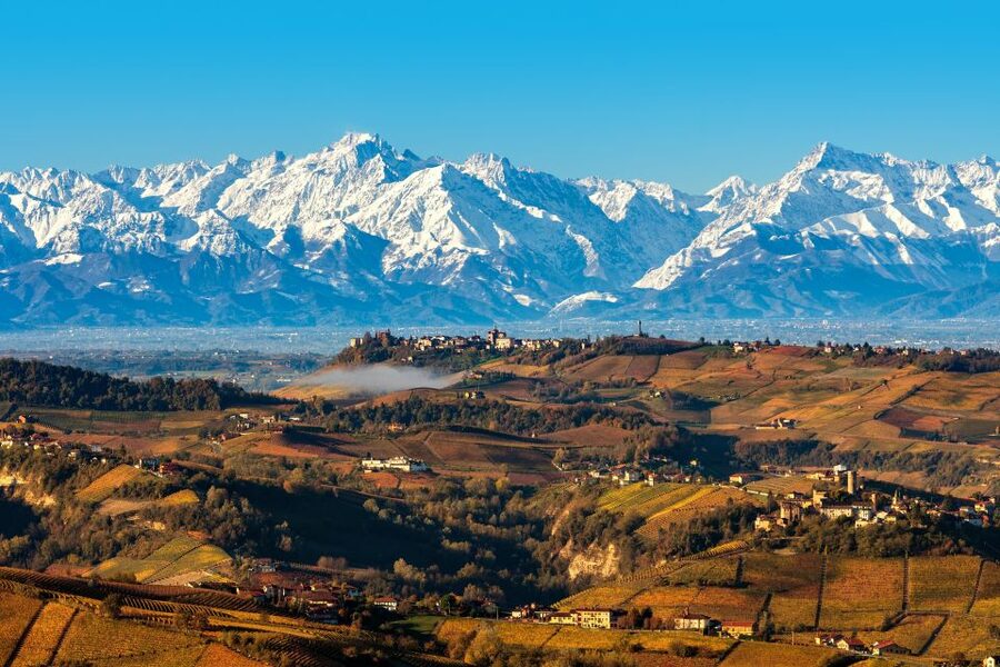From Milan: Barolo Wine Tasting, Alba Tour and Castle Visit - Alba, the truffle town at the center of Piedmont