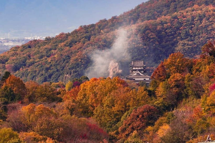 From Nagoya: Inuyama Castle, Ena Gorge, Magome, Tsumago Tour - What the guide and transport add