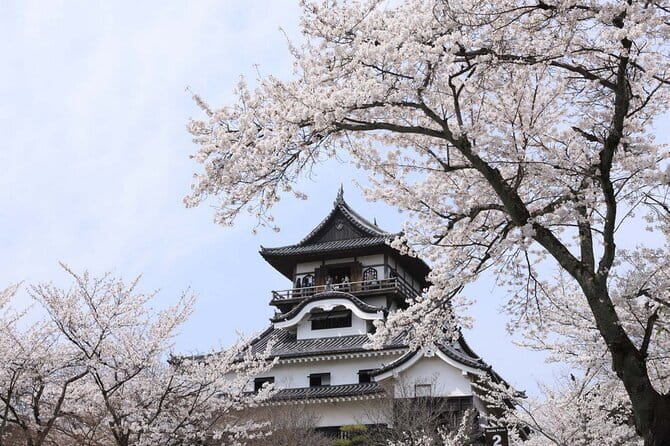 From Nagoya: Samurai Swords and Inuyama Castle Private Tour - Inuyama’s old streets and your lunch break