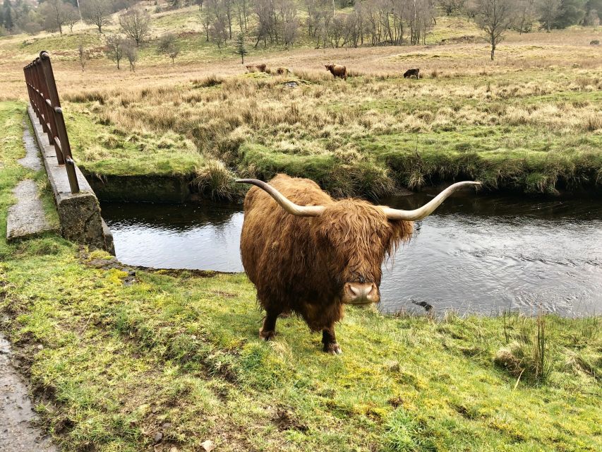 From Oban Glencoe and Castles Tour - Key points at a glance