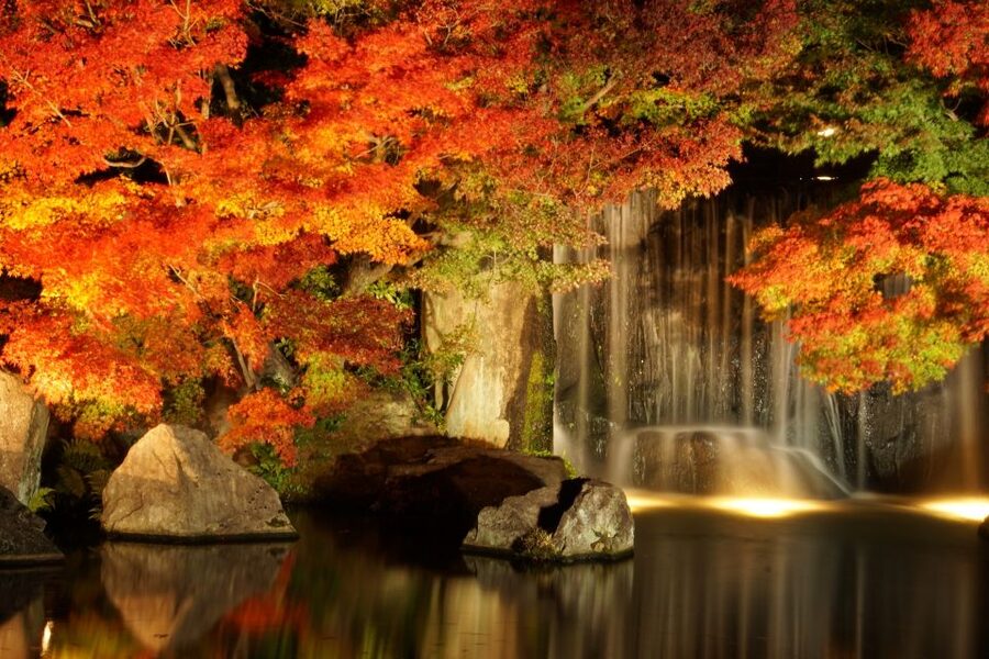 From Osaka: Himeji Castle, Arima Onsen & Mt. Rokko Day Tour - Who should book this Himeji and Arima day trip?