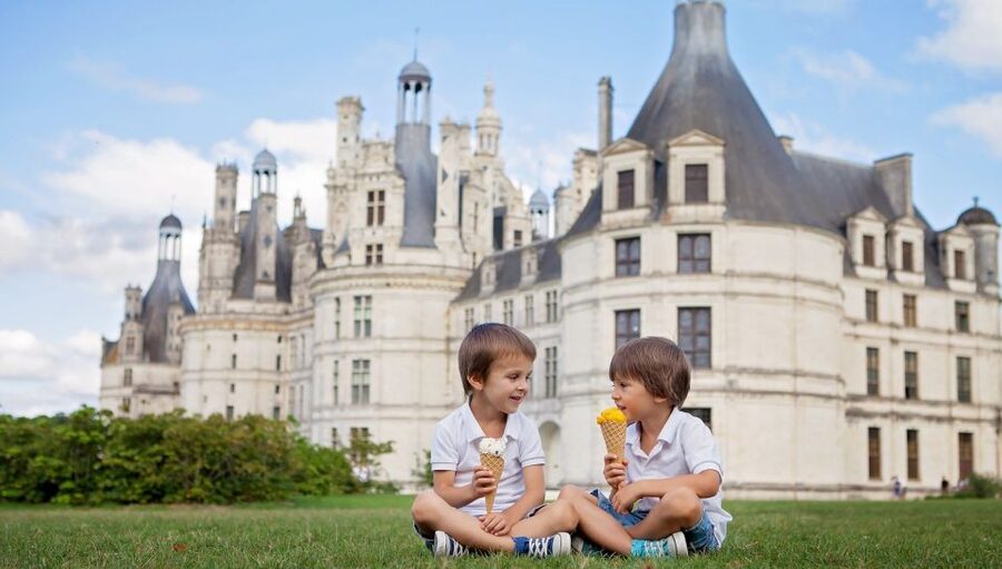 From Paris: Loire Valley Castles Tour with Hotel Transfers - A brief look at the Loire Valley between stops