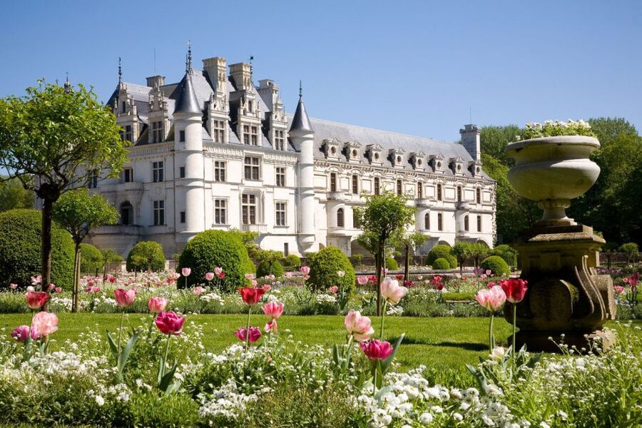 From Paris: Small-Group Loire Valley Castles Full-Day Tour - Walking, timing, and the right pace
