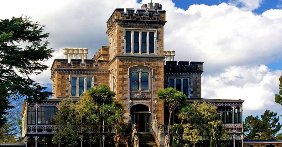 From Port Chalmers: Small Group Castle, Coast & City Tour - Along the Otago Peninsula