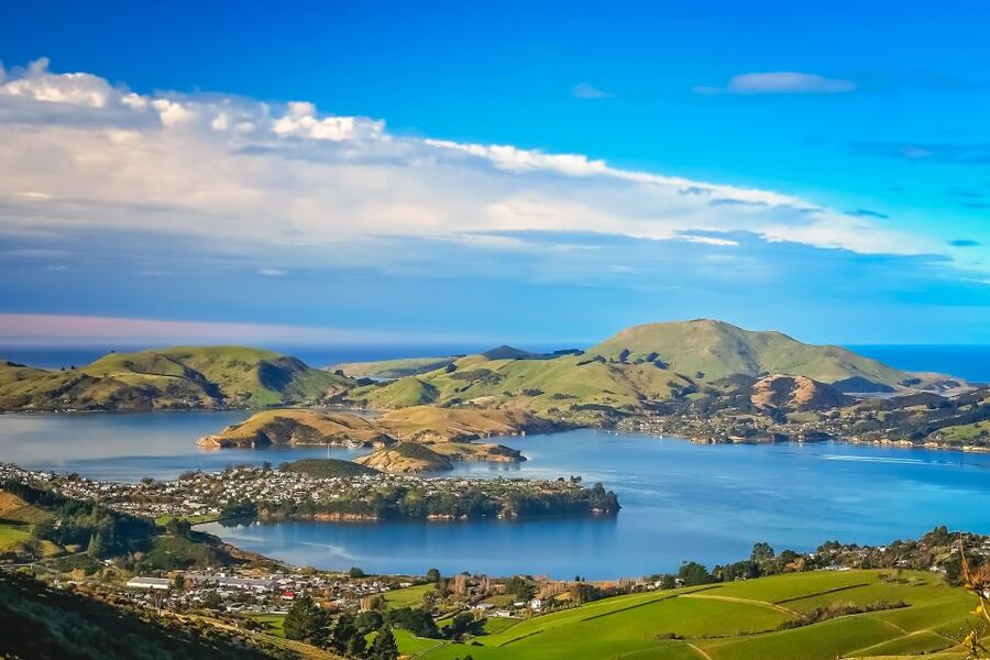 From Port Chalmers: Small Group Castle, Coast & City Tour - The high road back to Port Chalmers