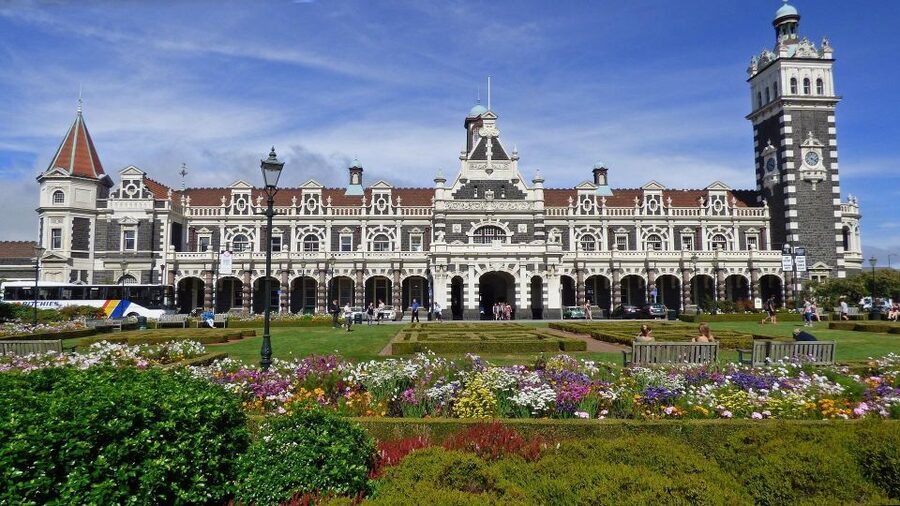 From Port Chalmers: Small Group Castle, Coast & City Tour - Who should book this Dunedin tour?