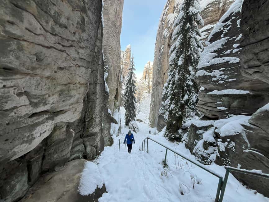 From Prague: Hike, Castle and Brewery in Bohemian Paradise - Who should book this Bohemian Paradise day trip?