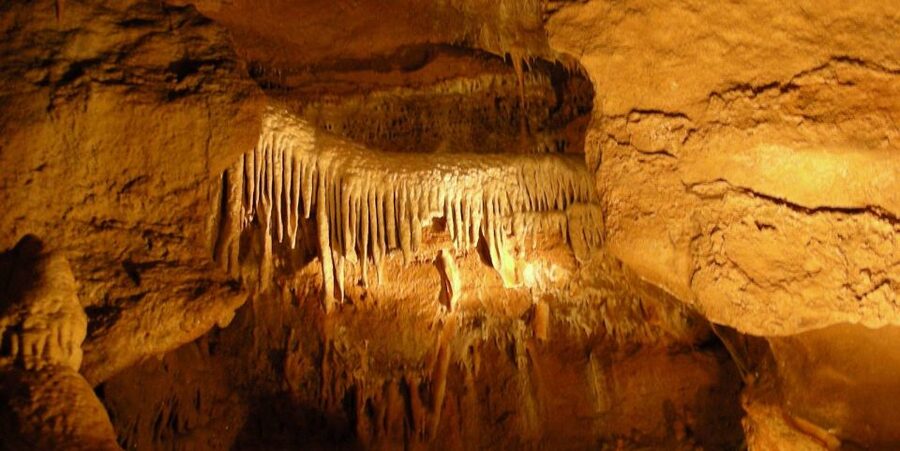From Prague: Karlštejn Castle & Koněprusy Caves Tour - Who should book this day trip?