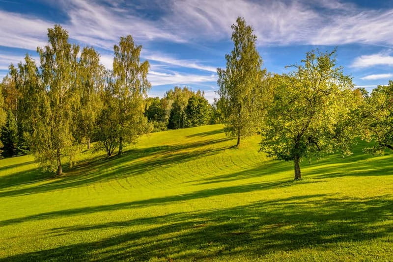 From Riga: Cēsis, Sigulda & Turaida Castle Tour - Sigulda’s castle ruins and Gauja Valley