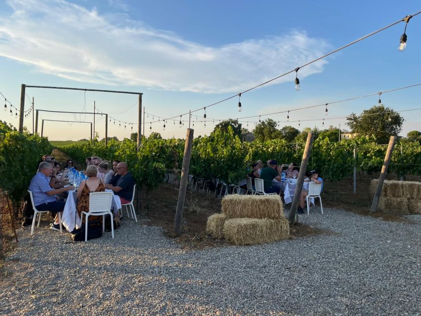 From Siena: Chianti and Castles Tour with Wine Tastings - Why this is a smart way to see Chianti from Siena