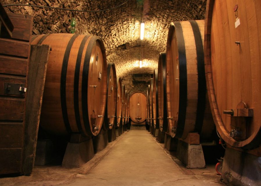 From Siena: Chianti and Castles Tour with Wine Tastings - The first winery and the pleasure of comparison