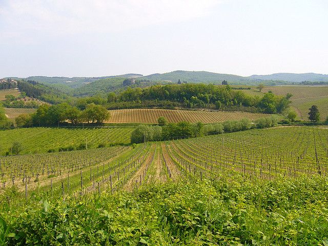 From Siena: Chianti and Castles Tour with Wine Tastings - Monteriggioni and the limits of a five-hour tour