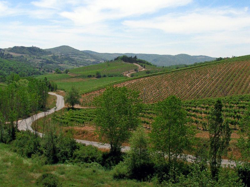 From Siena: Chianti and Castles Tour with Wine Tastings - What the guide adds to the experience