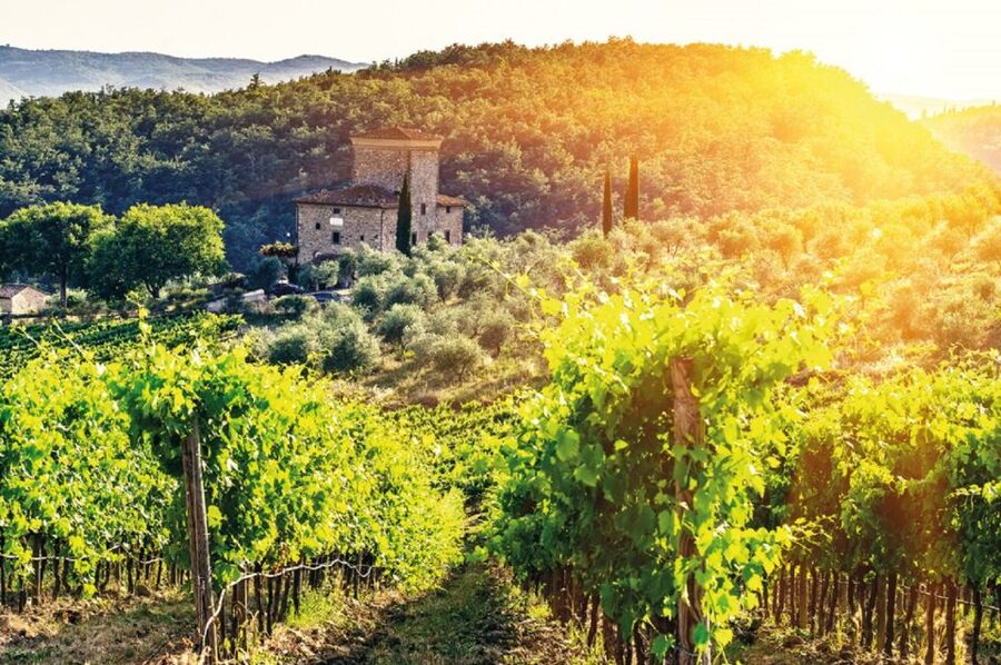 From Siena: Chianti and Castles Tour with Wine Tastings - The practical details that matter