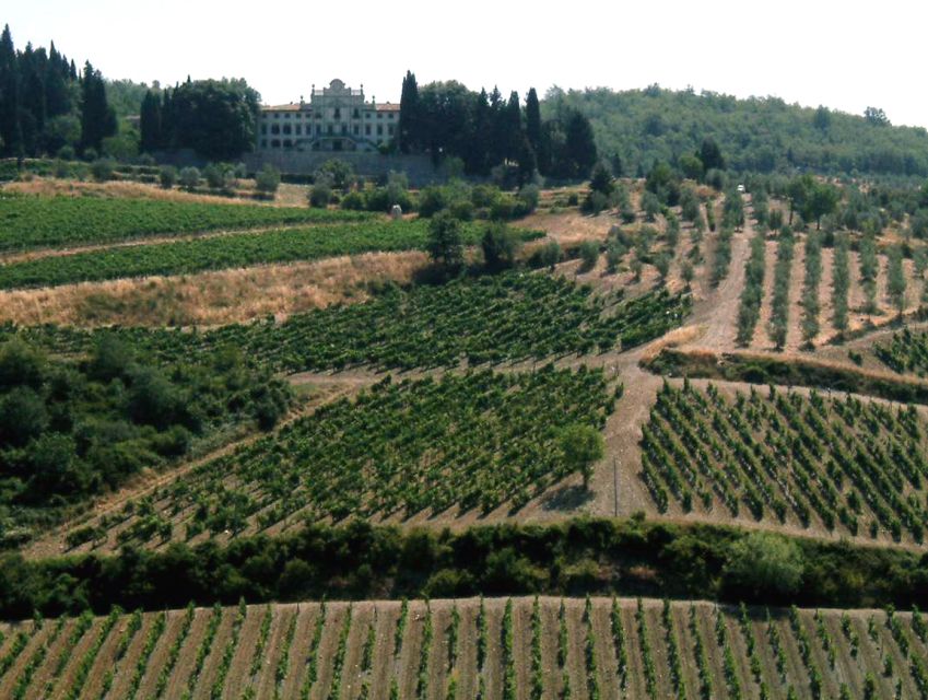 From Siena: Chianti and Castles Tour with Wine Tastings - The minivan ride through Chianti country