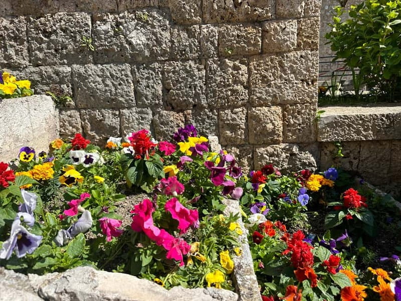 From Tirana: Kruja Castle, Old Bazaar & Sari Salltik View - The van ride, pickup, and daily pace