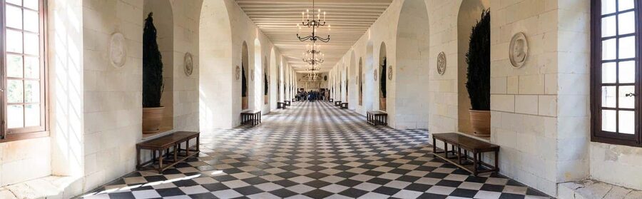 From Tours/Amboise: Chenonceau & Chambord Chateaux Day Trip - Should you book it?