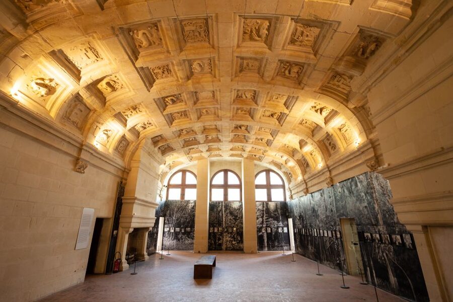 From Tours: Chenonceau and Chambord Castles Guided Tour - What the guides add to the day