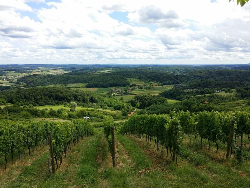 From Zagreb: Fairytale Castle & Wine Tasting & Lunch - Exploring Trakoscan Castle and its wooded setting