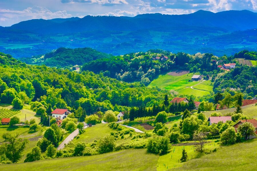 From Zagreb: Fairytale Castle & Wine Tasting & Lunch - What the guide adds to the experience
