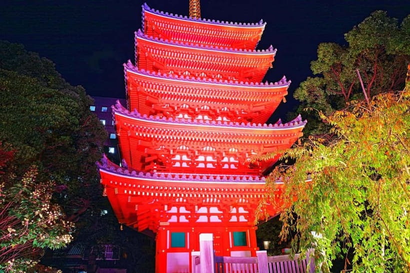 Fukuoka Cultural Walk: Castle, Shrines, Temples & Tales - Five things to know before you book
