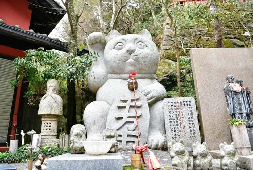 Fukuoka Cultural Walk: Castle, Shrines, Temples & Tales - Fukuoka Castle and the view from the hill