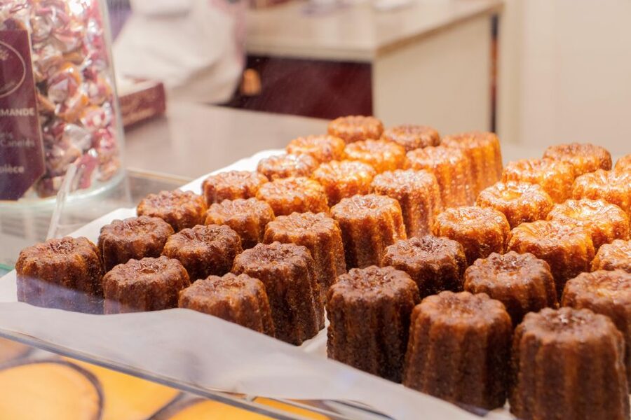 Full-Day Bordeaux gourmet tour & 2 chateau Medoc - The 50-minute drive into the Médoc