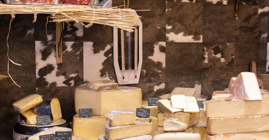 Full-Day Bordeaux gourmet tour & 2 chateau Medoc - One hour to choose your own Bordeaux lunch