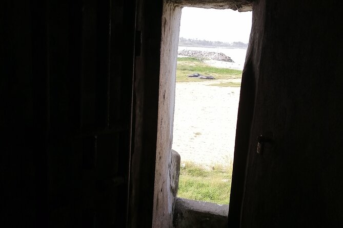 Full- Day Cape Coast Castles and Kakum Canopy Private Tour - Elmina Castle and the second Door of Return