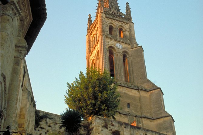 Full-day Saint-Emilion: Village, Undergrounds and Châteaux - Who will enjoy this day most